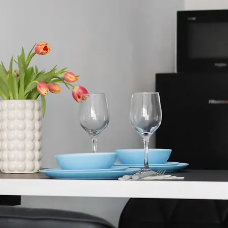Bright In With Air Conditioning And Parking By Renters * Kołobrzeg